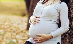 个人亲子鉴定多少钱-dna无创亲子鉴定需要的材料：怀孕8周做无创亲子鉴