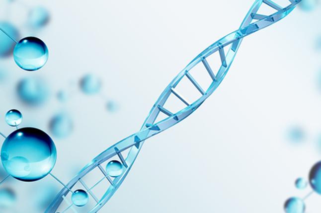 怀化DNA亲子鉴定机构