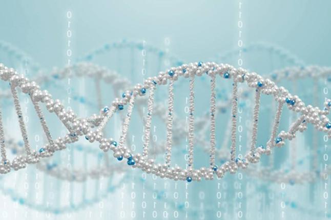 深圳DNA亲子鉴定机构