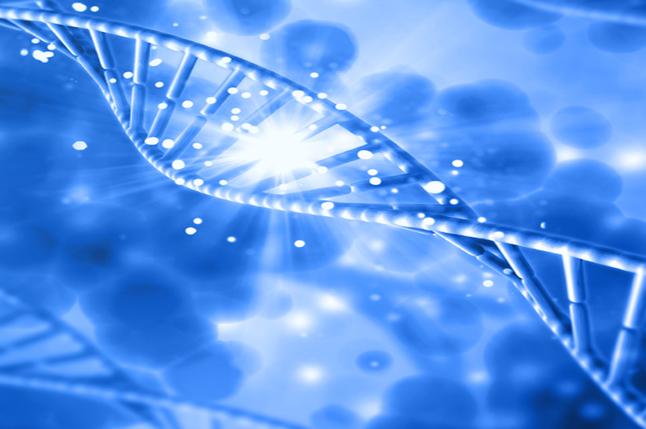 芜湖DNA亲子鉴定需要什么材料 合肥DNA亲子鉴定
