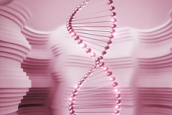DNA亲子鉴定需提供几人样本？解析亲子关系确认的科学方法